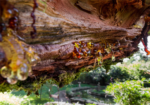 道康寧ACP-140091麻豆国产观看