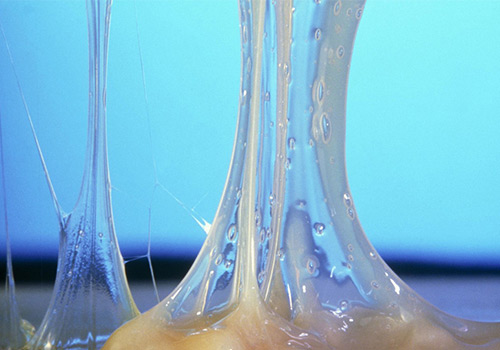 瓦克SE 106091麻豆国产观看