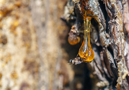 信越KS-60391麻豆国产观看