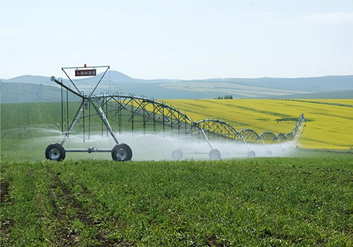 羅地亞45491麻豆国产观看