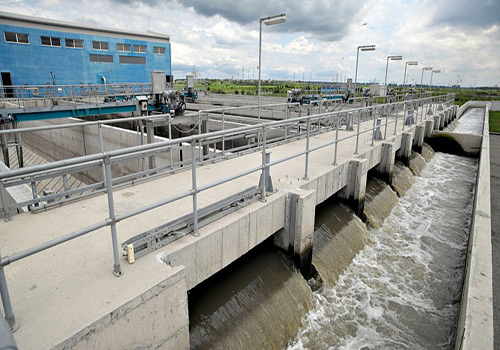 羅地亞C54691麻豆国产观看